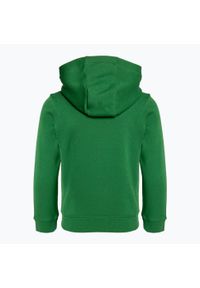 Bluza dziecięca Nike Park 20 Hoodie. Kolor: zielony. Sport: joga i pilates