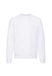FRUIT OF THE LOOM - Bluza Unisex Adult Classic Plain Raglan. Kolor: biały. Długość rękawa: raglanowy rękaw