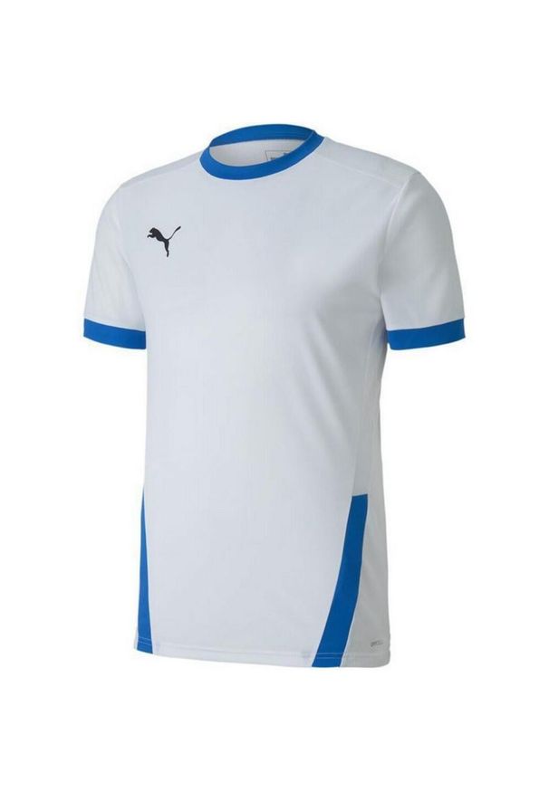 Puma - Męska Koszulka TeamGoal 23. Kolor: turkusowy, niebieski, wielokolorowy. Sport: turystyka piesza