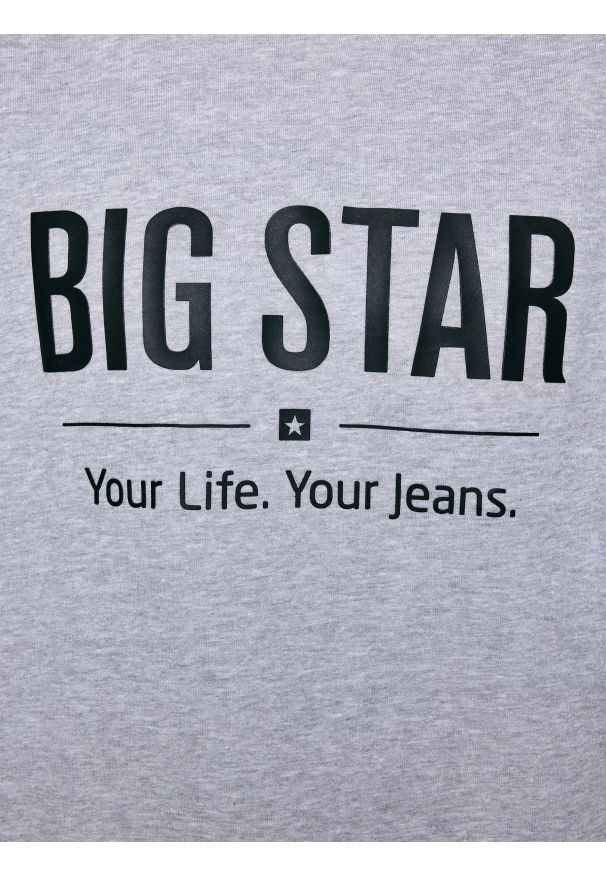 Big-Star - Bluza męska z nadrukiem szara Ecodort 901. Kolor: szary. Wzór: nadruk. Styl: klasyczny