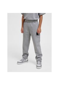 Regulowane spodnie dresowe dla dzieci Hummel Clean. Kolor: szary. Materiał: dresówka. Sport: joga i pilates