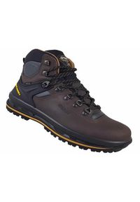 Buty trekkingowe męskie Grisport Marrone Dakar. Wysokość cholewki: za kostkę. Zapięcie: sznurówki. Kolor: brązowy, wielokolorowy. Materiał: tkanina, materiał, guma, syntetyk. Szerokość cholewki: normalna