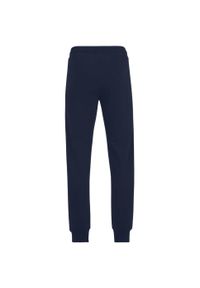 Fila - Męskie Spodnie Dresowe Braives. Kolor: niebieski. Materiał: dresówka