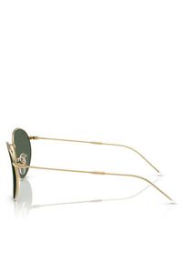 Ray-Ban Okulary przeciwsłoneczne Round Reverse 0RBR0103S 001/VR53 Złoty. Kolor: złoty #4