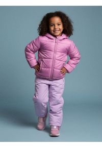 Sinsay - Ocieplane spodnie zimowe - fioletowy. Kolor: fioletowy. Sezon: zima #1