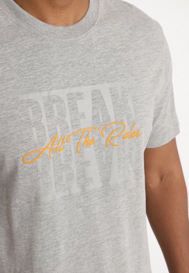 Born2be - Jasnoszara Koszulka z Bawełny Zdobiona Nadrukiem Tuleldia. Okazja: na co dzień. Kolor: szary. Materiał: bawełna. Wzór: aplikacja, nadruk. Styl: casual, elegancki