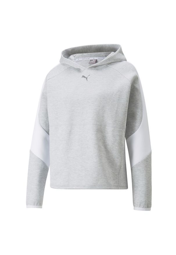 Bluza damska Puma Evostripe. Kolor: szary. Sezon: zima, jesień. Sport: fitness