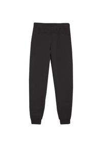 Spodnie sportowe chłopięce Puma Team Goal. Kolor: czarny. Materiał: dresówka