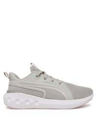 Puma Buty do biegania Softride Carson 310154 14 Szary. Kolor: szary. Materiał: materiał