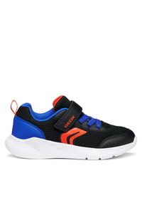 Sneakersy Geox. Kolor: czarny