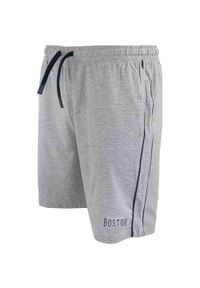 ZFOAM - Szorty sportowe Niceto Melange męskie — 100% bawełna. Kolor: szary, fioletowy, wielokolorowy. Materiał: bawełna. Długość: krótkie. Sezon: lato #1