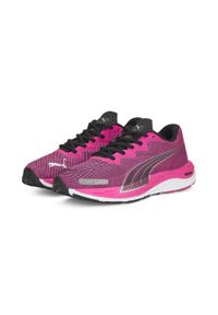 Buty do biegania dla kobiet Puma Velocity Nitro 2. Kolor: wielokolorowy, różowy, czarny