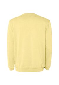 ROLY - Bluza Unisex Dla Dorosłych Jaya Z Okrągłym Dekoltem. Kolor: żółty
