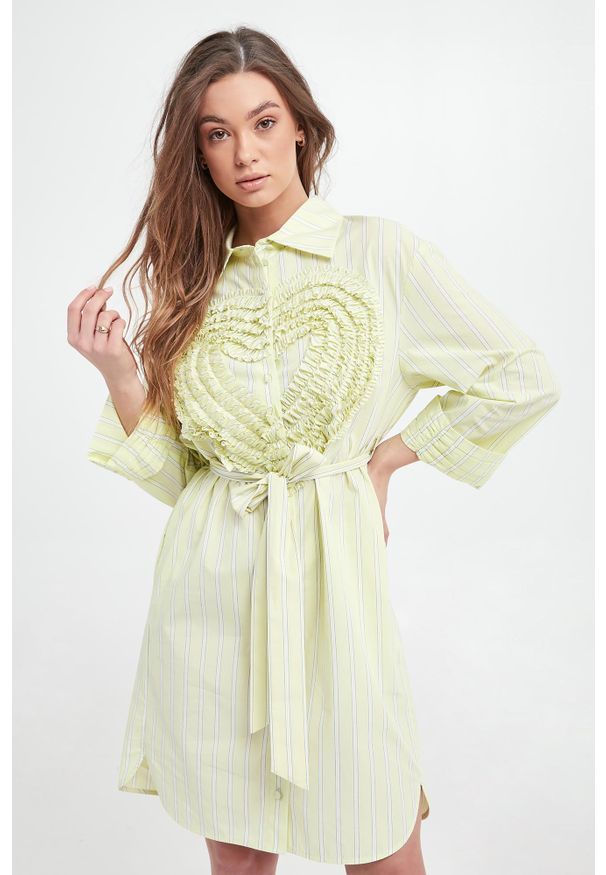 Twinset Milano - Sukienka szmizjerka TWINSET ACTITUDE. Typ sukienki: szmizjerki