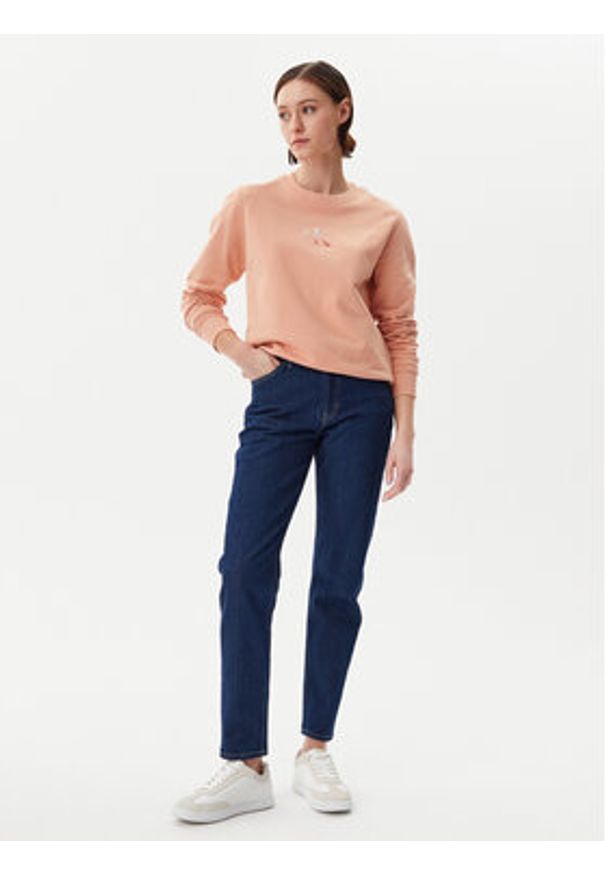 Calvin Klein Jeans Bluza Gradient Monologo J20J225360 Koralowy Regular Fit. Kolor: pomarańczowy. Materiał: bawełna. Wzór: gradientowy