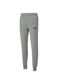 Puma Essentials Slim, Szary. Kolor: szary. Materiał: materiał