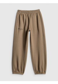 4f - 4F Spodnie dresowe joggery chłopięce - brązowe 122/128 (6-8 lat). Okazja: na co dzień. Kolor: brązowy. Materiał: dresówka. Sezon: lato. Styl: casual, sportowy #1