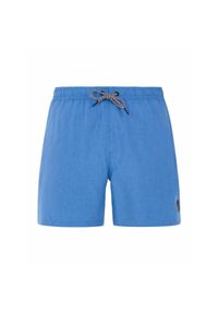 Szorty kąpielowe Protest Davey. Kolor: niebieski #1