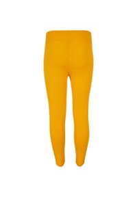 Urban Classics - Legginsy Dla Dziewczynki Tkanina Techniczna Siatkowe. Kolor: pomarańczowy, wielokolorowy, żółty. Materiał: tkanina