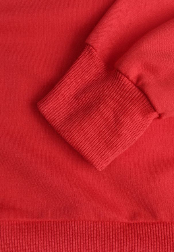 Born2be - Czerwona Bluza z Bawełną Ozdobiona Ściągaczami Hilani. Okazja: na spacer, na co dzień. Kolor: czerwony. Materiał: bawełna. Wzór: aplikacja. Styl: casual, elegancki, klasyczny