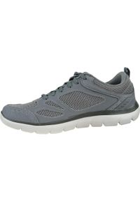 skechers - Buty do chodzenia męskie Skechers Summitssouth Rim. Kolor: szary. Sport: turystyka piesza