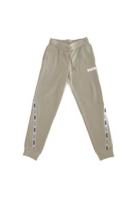 Puma Spodnie Tape 67402112. Kolor: zielony