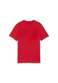 Puma - Młodzieżowa koszulka AC Milan FtblEssentials PUMA. Kolor: wielokolorowy, czarny, czerwony. Sport: piłka nożna #1