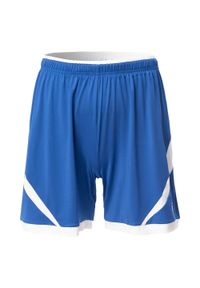 Huari - Shorty Męskie Dentra. Kolor: niebieski. Sport: turystyka piesza #1