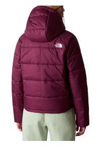 Kurtka przejściowa damska The North Face Hyalite Synthetic. Kolor: czerwony. Materiał: tkanina, skóra. Sport: turystyka piesza