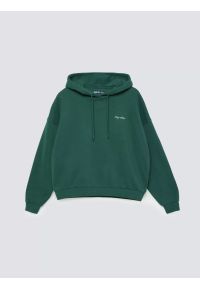 Big-Star - Bluza damska z kapturem zielona Megan 304. Okazja: na co dzień. Typ kołnierza: kaptur. Kolor: zielony. Materiał: dzianina. Wzór: haft. Styl: elegancki, casual