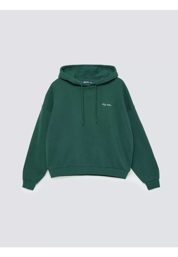 Big-Star - Bluza damska z kapturem zielona Megan 304. Okazja: na co dzień. Typ kołnierza: kaptur. Kolor: zielony. Materiał: dzianina. Wzór: haft. Styl: casual, elegancki