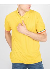 Invicta Koszulka Polo | 4452254 / U | Mężczyzna | Żółty. Okazja: na co dzień. Typ kołnierza: polo. Kolor: żółty. Materiał: poliester. Długość rękawa: krótki rękaw. Wzór: aplikacja. Styl: klasyczny, casual #3