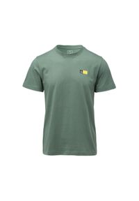 Koszulka męska Elbrus Frode - zielona, Rozmiar M. Kolor: zielony. Materiał: bawełna, tkanina, jeans, włókno. Sezon: lato. Sport: fitness #1