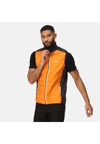 Halton VII Regatta męska turystyczna kamizelka ocieplana. Kolor: pomarańczowy. Długość rękawa: bez rękawów. Sport: turystyka piesza #1