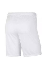 Nike - Męskie Spodenki Park III DriFIT. Kolor: niebieski, wielokolorowy, biały. Sport: turystyka piesza