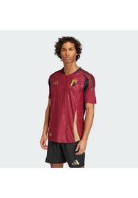 Adidas - Koszulka Belgium 2024 Home Authentic. Kolor: brązowy, wielokolorowy, czerwony. Sport: piłka nożna