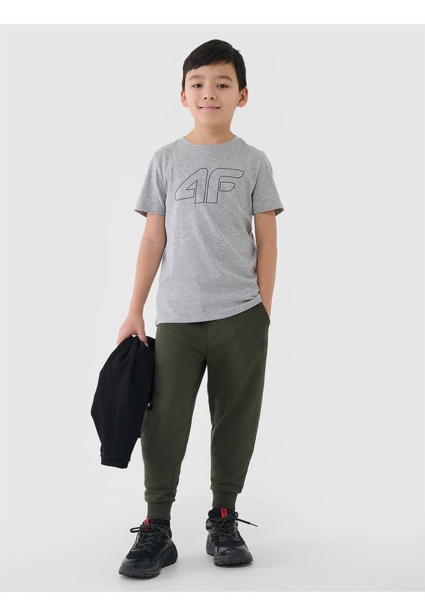4f - 4F T-shirt z nadrukiem chłopięcy - szary 134 (8-9 lat). Okazja: na co dzień. Kolor: szary. Materiał: bawełna, jersey, dzianina. Długość rękawa: krótki rękaw. Długość: krótkie. Wzór: nadruk. Sezon: lato. Styl: sportowy, klasyczny, casual