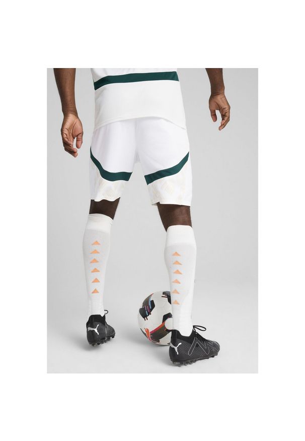 Puma - Męskie szorty Wybrzeże Kości Słoniowej 2025 PUMA White Dark Myrtle Green. Kolor: biały, wielokolorowy, zielony