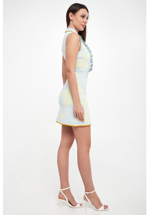 Elisabetta Franchi - Sukienka mini ELISABETTA FRANCHI. Długość: mini