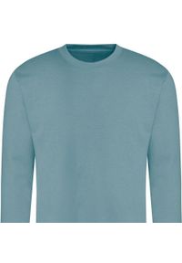 AWDIS - Zwykła Bluza Unisex Dla Dorosłych. Kolor: niebieski