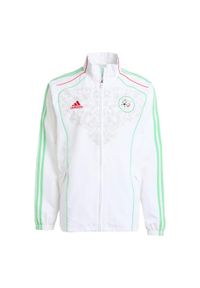 Adidas - Bluza dresowa Algeria UBP. Kolor: biały. Materiał: dresówka. Sezon: lato. Sport: piłka nożna