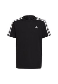 Adidas - Essentials 3-Stripes Cotton Tee. Kolor: biały, wielokolorowy, czarny