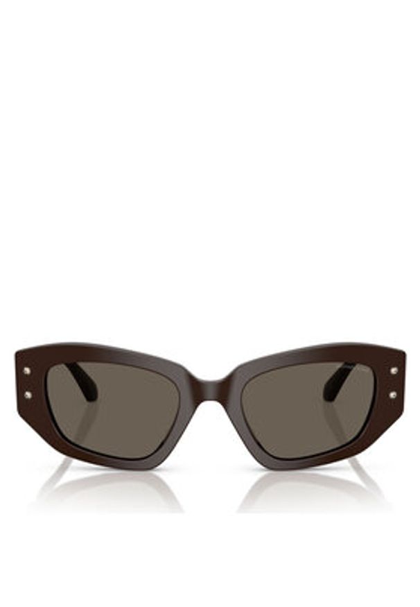 Michael Kors Okulary przeciwsłoneczne 0MK2234B 50 4007/3 Brązowy. Kolor: brązowy. Materiał: syntetyk