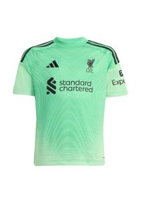 Adidas - Koszulka bramkarska dla dzieci Liverpool FC 25/26. Kolor: zielony. Sport: piłka nożna