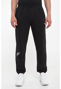 Plein Sport - Spodnie dresowe męskie PLEIN SPORT. Materiał: dresówka. Styl: sportowy