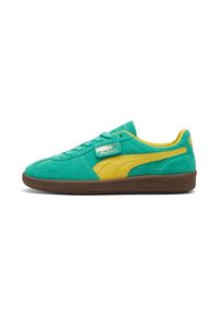 Trenerzy Puma Palermo. Kolor: zielony. Materiał: zamsz. Sport: turystyka piesza