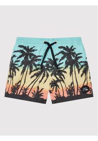 Quiksilver Szorty kąpielowe Everyday Paradise 14" EQBJV03390 Kolorowy Regular Fit. Materiał: syntetyk. Wzór: kolorowy