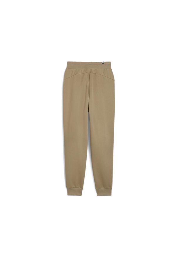 Puma Spodnie Ess+ Embroidery Fl 67000767. Kolor: brązowy