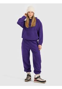 4f - 4F Spodnie dresowe polarowe damskie - fioletowe L. Kolor: fioletowy. Materiał: polar, dresówka. Sport: turystyka piesza #1