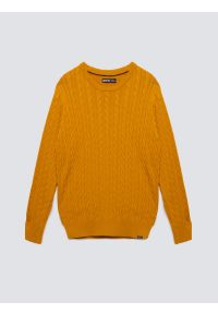 Big-Star - Sweter męski ze splotem warkoczowym żołty Amaris 201. Okazja: na co dzień. Kolor: żółty. Materiał: jeans, dzianina. Wzór: ze splotem. Styl: klasyczny, casual